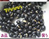 黒豆ご飯【和プレ】one-plateご飯作り方4写真