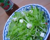 -うわぁ！チーズ水菜サラダ-作り方4写真