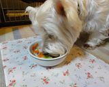 犬ごはん「野菜たっぷり豚肉うどん」作り方6写真