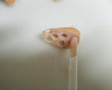 ウインナーだけＤＥタコさんウインナー作り方3写真