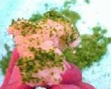 ｶﾚｰ畑のかりふらわー。作り方23写真
