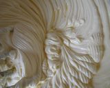 ホワイトチョコと苺のケーキ♪作り方9写真