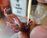 菜の花とホタルイカのパスタ作り方5写真