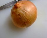 玉ねぎの花揚作り方1写真