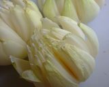 玉ねぎの花揚作り方8写真