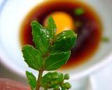 木の芽うどん作り方10写真