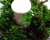 木の芽味噌和え作り方2写真