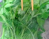 木の芽味噌和え作り方7写真