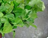 木の芽味噌和え作り方6写真