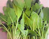 豚肉のほうれん草炒めはマヨネーズでね！作り方1写真