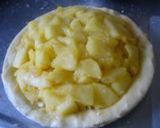 簡単＊美味しい＊アップルパイ作り方2写真