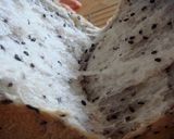 手捏ねで黒ごま食パン　ホシノ天然酵母作り方8写真