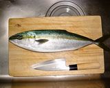 イナダ（ハマチ）の三枚おろし作り方1写真
