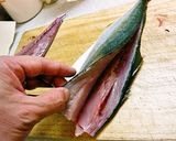 イナダ（ハマチ）の三枚おろし作り方14写真