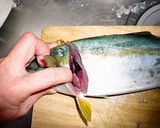 イナダ（ハマチ）の三枚おろし作り方4写真