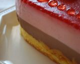 スイートハート＊レアチーズケーキ作り方18写真
