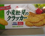 ラムチョコレーズンのチーズケーキ作り方8写真