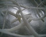 フォーで作る簡単お菓子☆第二弾☆レンジ編作り方4写真