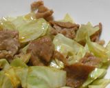 豚肉とキャベツのピﾘ辛炒め作り方4写真