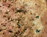 ピスタチオミルクケーキ作り方6写真