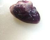 はつニラいため。作り方1写真