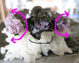 ◆完全攻略◆米１合でアンパンマン巻き寿司作り方37写真