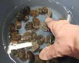 簡単＆失敗無し！あさりの砂出し(砂抜き)作り方1写真
