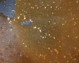ヨウサマの減塩いかのバター&醤油作り方3写真