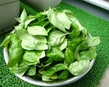 自宅で栽培♪簡単バジル（ジェノバ）ソース作り方1写真