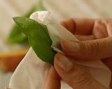 自宅で栽培♪簡単バジル（ジェノバ）ソース作り方2写真