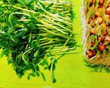簡単豆苗ツナマヨ和えサラダ♬作り方1写真