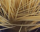 我が家の生たらこパスタ作り方1写真