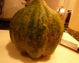 Ａｃｏｒｎ　Ｓｑｕａｓｈの簡単グラタン作り方1写真