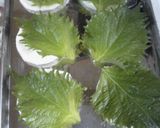 簡単ヘルシー*なんちゃって大根ギョーザ作り方4写真