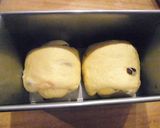 人参とハチミツのミルクレーズン食パン☆作り方18写真