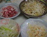 安いもやしでパリパリ春巻き作り方3写真