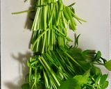 簡単美味しい！せりのナムル作り方1写真