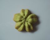 軽～いサクサク絞り出しクッキー作り方17写真