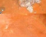 すごくおいしい！海老としめじのトマトクリームソース作り方4写真