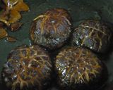丸ごと椎茸ステーキ　作り方5写真