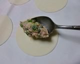 ヴァルリンさんちの☆８０コギョウザ作り方9写真