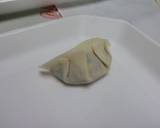 ヴァルリンさんちの☆８０コギョウザ作り方15写真