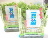 台湾家庭料理☆豆苗の炒め☆作り方1写真