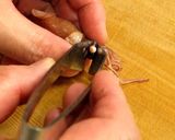 ホタルイカの辛子酢味噌♪春の旬で簡単!作り方2写真