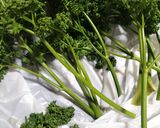 ♻️保存方法｜パセリ🌿ロス削減術｜雑学メモ等♪作り方4写真