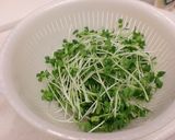 しっとり蒸し鶏（バンバンジー風）作り方4写真