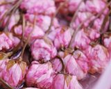 桜の花の塩漬け作り方5写真