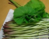 きゃらぶき～山蕗の佃煮作り方1写真