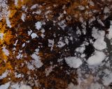 紅茶のフィナンシェ作り方1写真