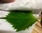 保存版✅大葉の保存方法|冷蔵・冷凍で簡単長持ち作り方2写真